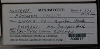 Image Associated With the Occurence